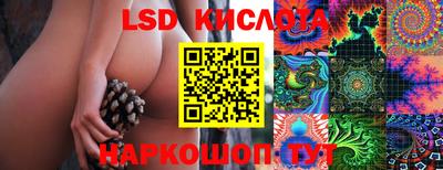 спиды Кунгур
