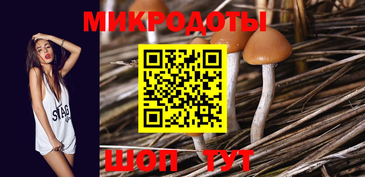 Камень-на-Оби  Галлюциногенные грибы мицелий  Вход с VPN 